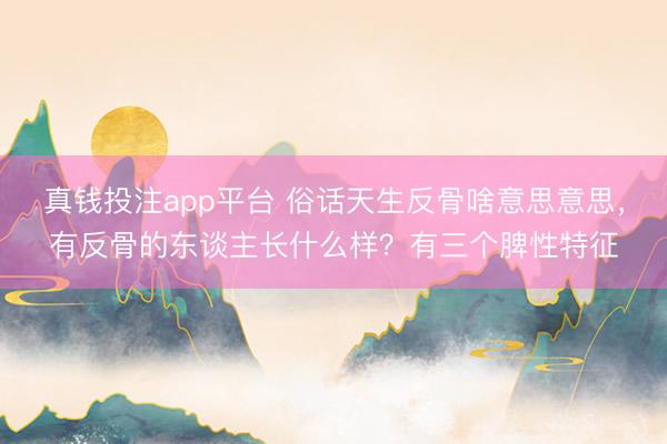 真钱投注app平台 俗话天生反骨啥意思意思,有反骨的东谈主长什么样?有三个脾性特征