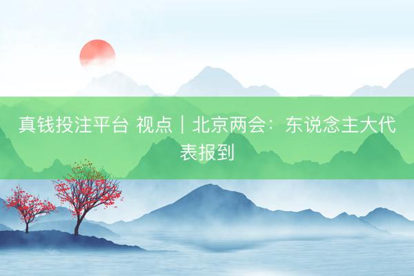 真钱投注平台 视点｜北京两会：东说念主大代表报到