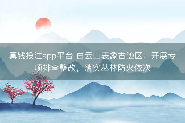 真钱投注app平台 白云山表象古迹区:开展专项排查整改,落实丛林防火依次