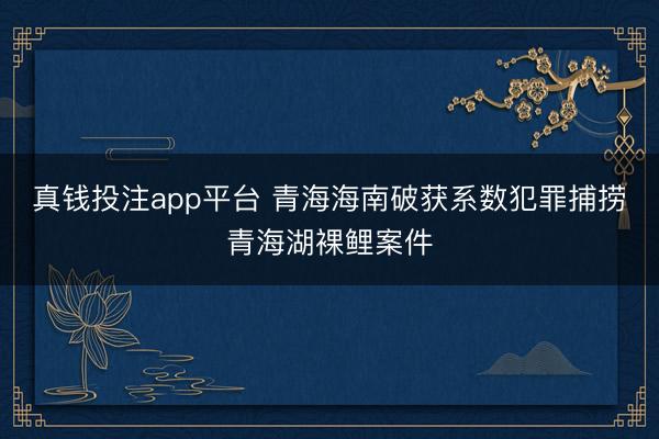 真钱投注app平台 青海海南破获系数犯罪捕捞青海湖裸鲤案件