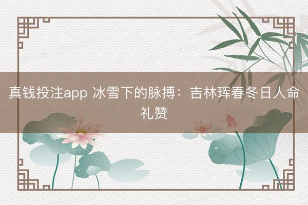 真钱投注app 冰雪下的脉搏：吉林珲春冬日人命礼赞
