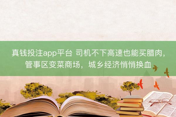 真钱投注app平台 司机不下高速也能买腊肉，管事区变菜商场，城乡经济悄悄换血