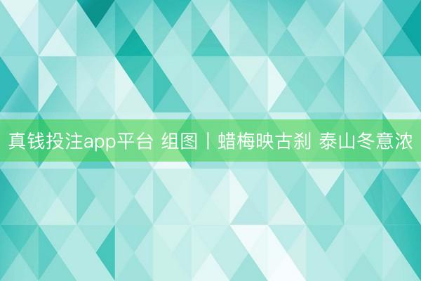 真钱投注app平台 组图丨蜡梅映古刹 泰山冬意浓