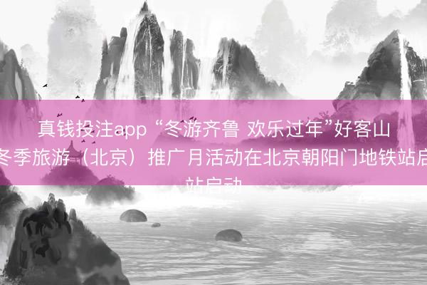 真钱投注app “冬游齐鲁 欢乐过年”好客山东冬季旅游（北京）推广月活动在北京朝阳门地铁站启动