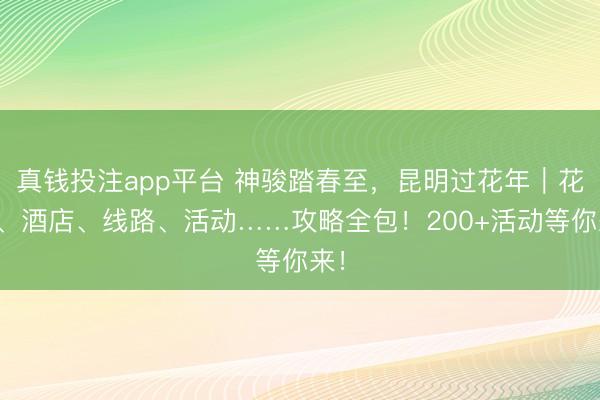真钱投注app平台 神骏踏春至,昆明过花年|花海、酒店、线路、活动……攻略全包!200+活动等你来!