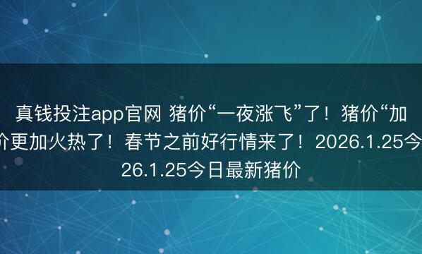 真钱投注app官网 猪价“一夜涨飞”了!猪价“加速反弹”涨价更加火热了!春节之前好行情来了!2026.1.25今日最新猪价