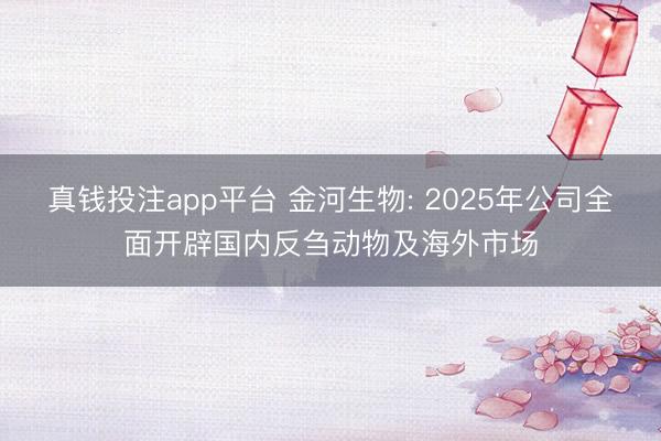 真钱投注app平台 金河生物: 2025年公司全面开辟国内反刍动物及海外市场