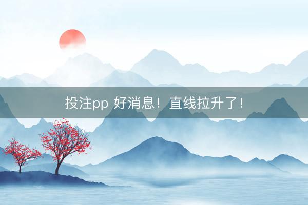 投注pp 好消息!直线拉升了!