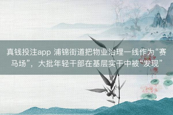 真钱投注app 浦锦街道把物业治理一线作为“赛马场”，大批年轻干部在基层实干中被“发现”