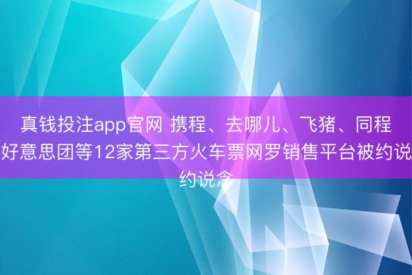 真钱投注app官网 携程、去哪儿、飞猪、同程、好意思团等12家第三方火车票网罗销售平台被约说念