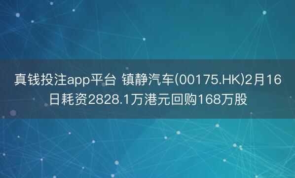 真钱投注app平台 镇静汽车(00175.HK)2月16日耗资2828.1万港元回购168万股