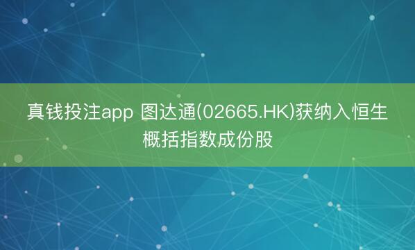 真钱投注app 图达通(02665.HK)获纳入恒生概括指数成份股