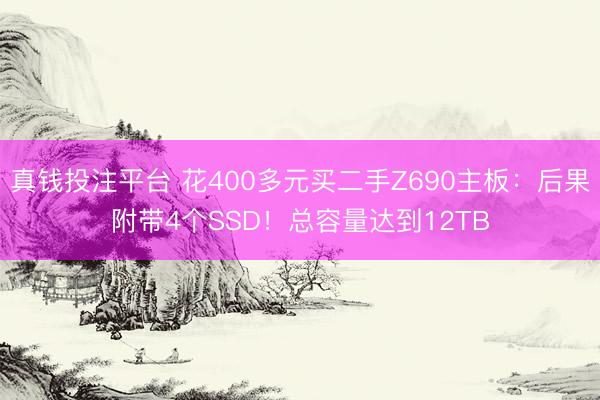 真钱投注平台 花400多元买二手Z690主板:后果附带4个SSD!总容量达到12TB