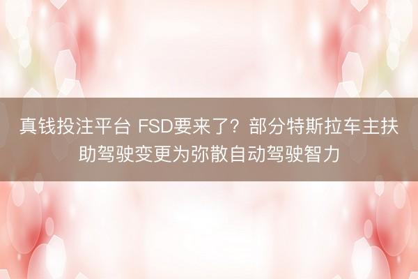 真钱投注平台 FSD要来了?部分特斯拉车主扶助驾驶变更为弥散自动驾驶智力