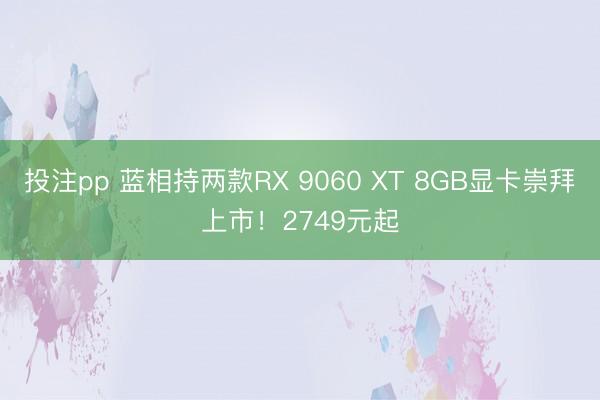 投注pp 蓝相持两款RX 9060 XT 8GB显卡崇拜上市！2749元起