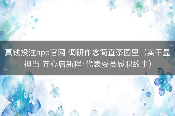 真钱投注app官网 调研作念简直茶园里（实干显担当 齐心启新程·代表委员履职故事）