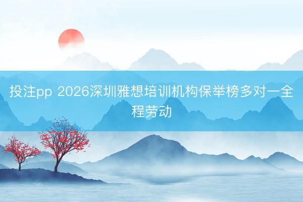 投注pp 2026深圳雅想培训机构保举榜多对一全程劳动