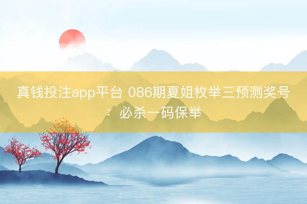真钱投注app平台 086期夏姐枚举三预测奖号:必杀一码保举