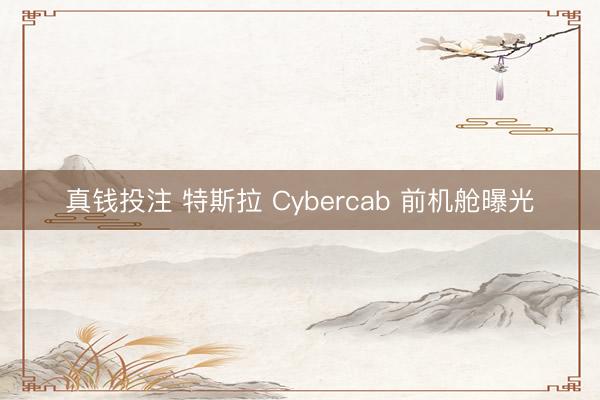 真钱投注 特斯拉 Cybercab 前机舱曝光
