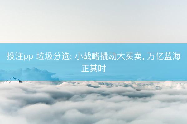 投注pp 垃圾分选: 小战略撬动大买卖, 万亿蓝海正其时