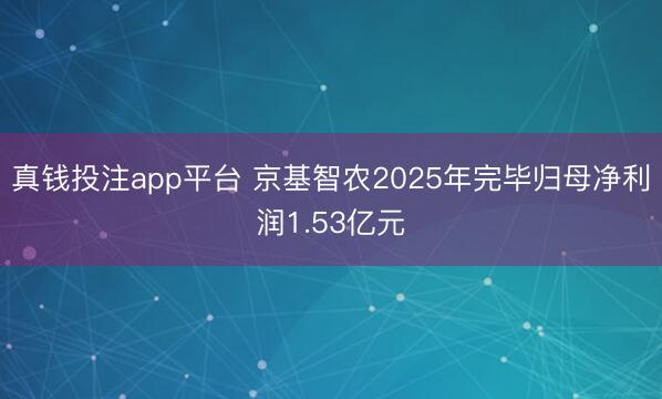 真钱投注app平台 京基智农2025年完毕归母净利润1.53亿元