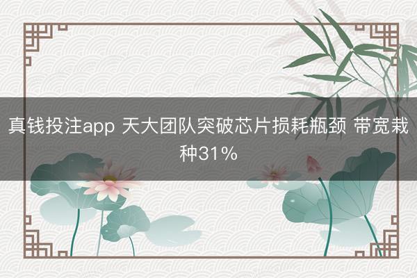真钱投注app 天大团队突破芯片损耗瓶颈 带宽栽种31%