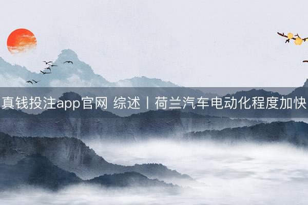 真钱投注app官网 综述丨荷兰汽车电动化程度加快