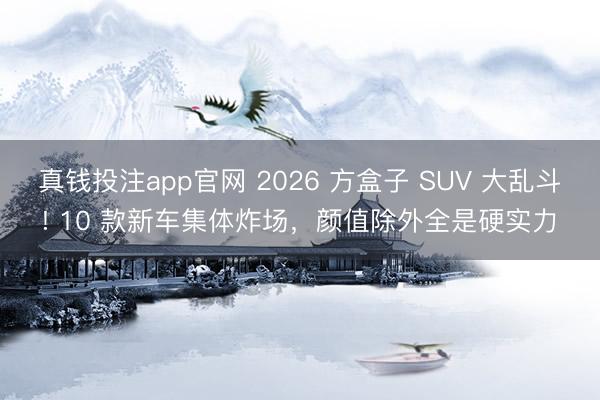 真钱投注app官网 2026 方盒子 SUV 大乱斗! 10 款新车集体炸场,颜值除外全是硬实力✅