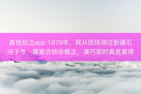 真钱投注app 1979年，我从团场调往新疆石河子市，需要农转非概念，凑巧那时真是莫得
