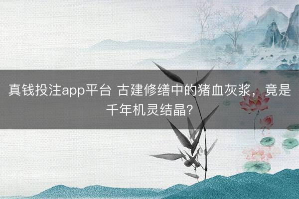 真钱投注app平台 古建修缮中的猪血灰浆，竟是千年机灵结晶？
