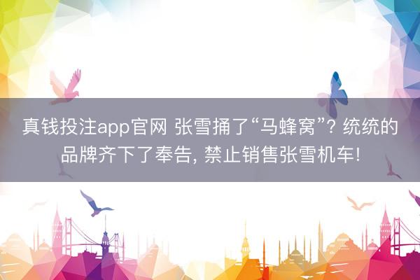 真钱投注app官网 张雪捅了“马蜂窝”? 统统的品牌齐下了奉告, 禁止销售张雪机车!