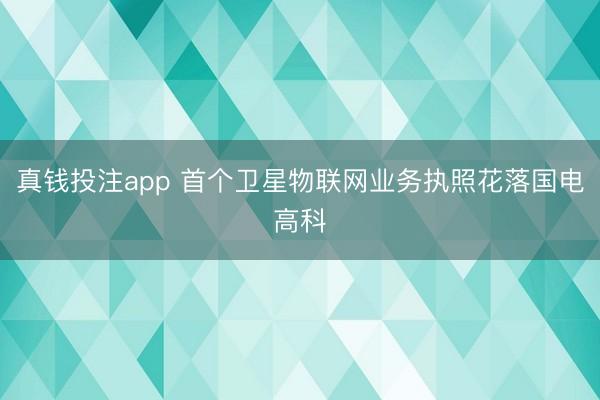 真钱投注app 首个卫星物联网业务执照花落国电高科