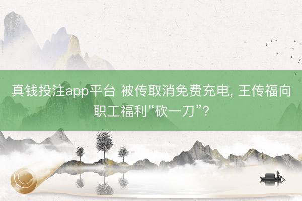 真钱投注app平台 被传取消免费充电, 王传福向职工福利“砍一刀”?