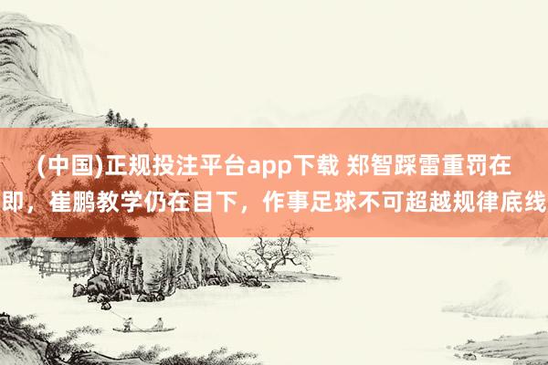 (中国)正规投注平台app下载 郑智踩雷重罚在即，崔鹏教学仍在目下，作事足球不可超越规律底线