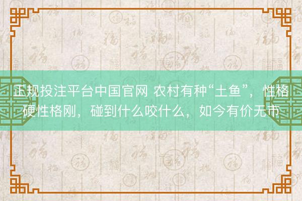 正规投注平台中国官网 农村有种“土鱼”，性格硬性格刚，碰到什么咬什么，如今有价无市