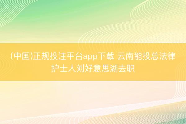 (中国)正规投注平台app下载 云南能投总法律护士人刘好意思湖去职