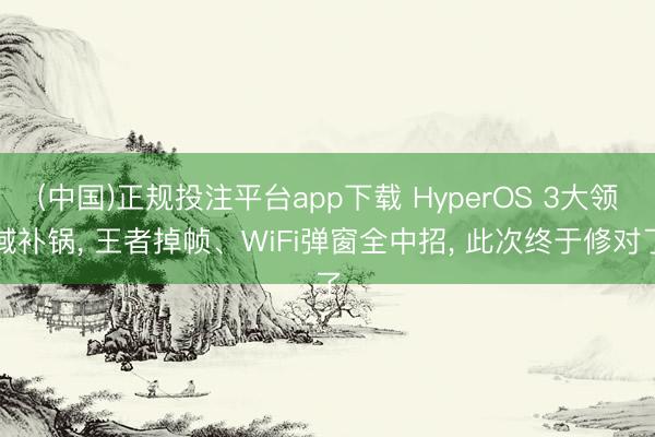 (中国)正规投注平台app下载 HyperOS 3大领域补锅， 王者掉帧、WiFi弹窗全中招， 此次终于修对了