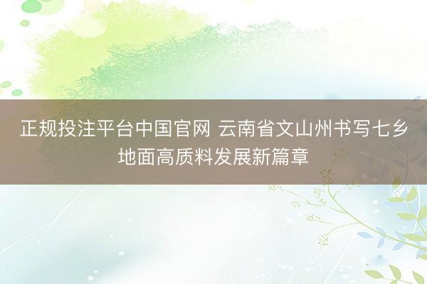 正规投注平台中国官网 云南省文山州书写七乡地面高质料发展新篇章