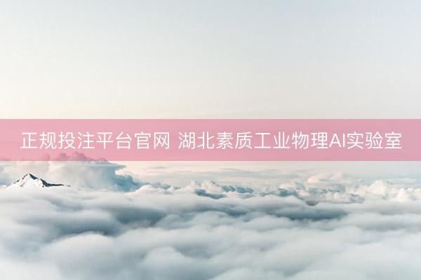 正规投注平台官网 湖北素质工业物理AI实验室