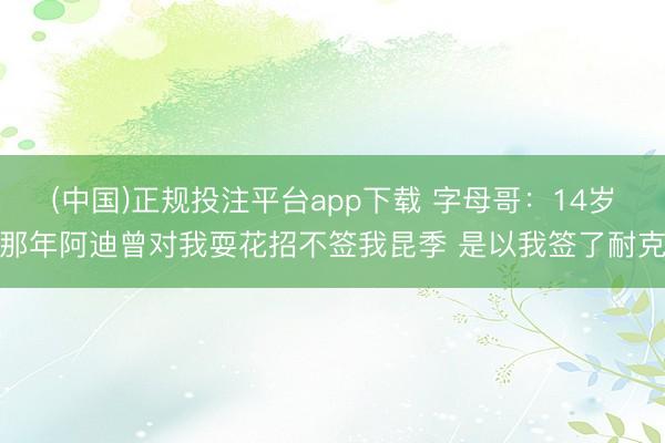 (中国)正规投注平台app下载 字母哥：14岁那年阿迪曾对我耍花招不签我昆季 是以我签了耐克